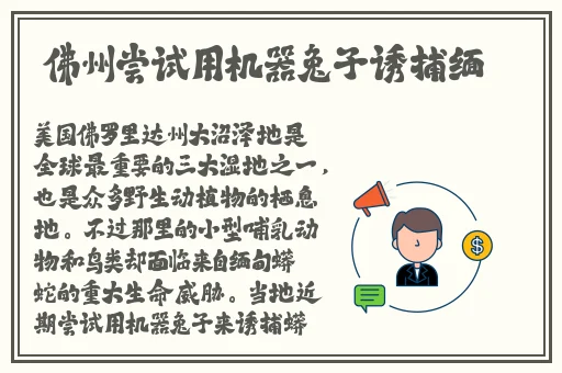亚洲一码二码三码区